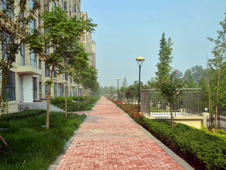 1649812623137993.jpg 01.jpg