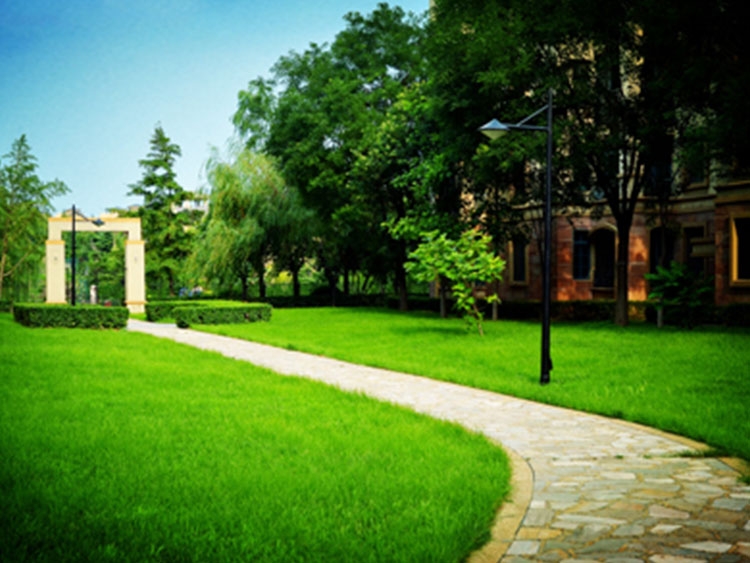 1649812849191526.jpg 01.jpg