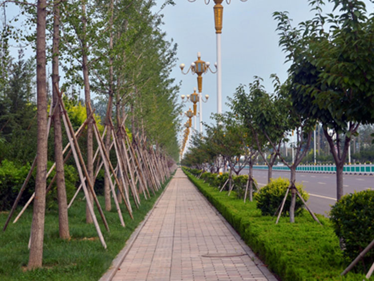 1649813330158710.jpg 01.jpg