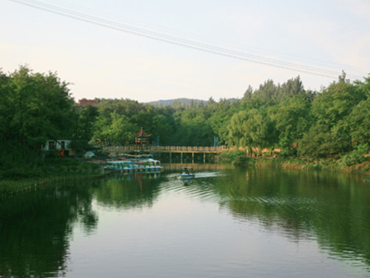 1649813650148066.jpg 01.jpg