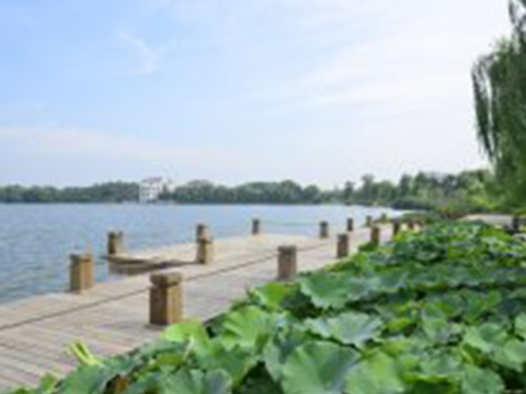 1649813845365727.jpg 01.jpg