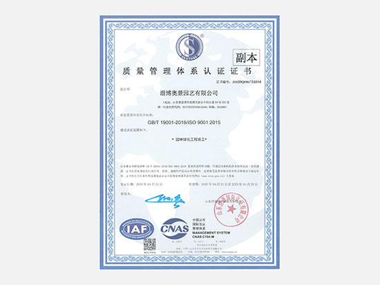 1649921377637007.jpg 01.jpg